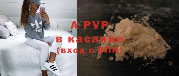 ГАЛЛЮЦИНОГЕННЫЕ ГРИБЫ Балабаново