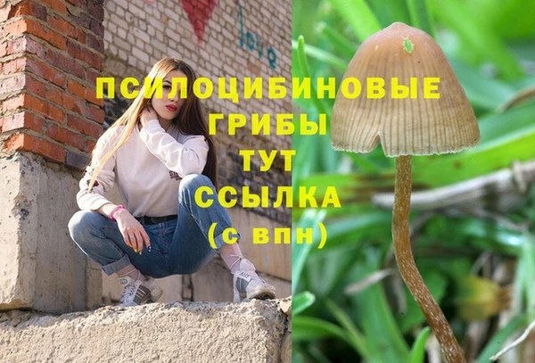 скорость Баксан
